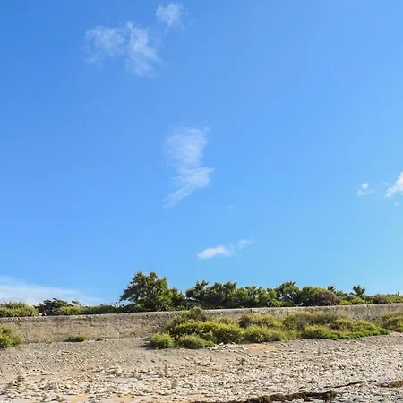 Pet Friendly In * Saint-Savinien