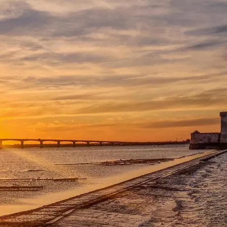 Pet Friendly In Vakantiehuis *