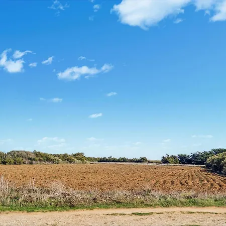 Pet Friendly In Saint-Savinien