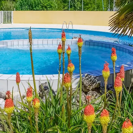 Pet Friendly In Tatil Evi