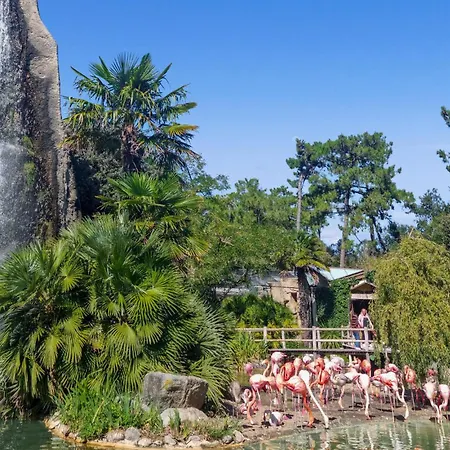 Pet Friendly In * Saint-Savinien