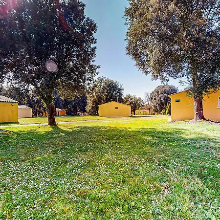 Vakantiehuis Pet Friendly In *