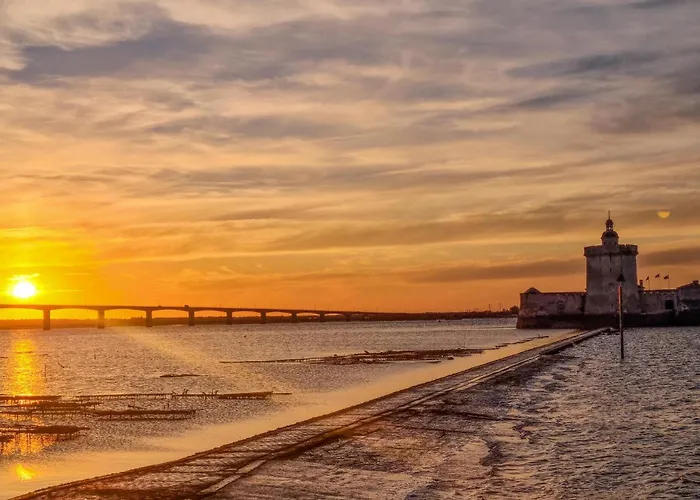 Pet Friendly In 펜션 *