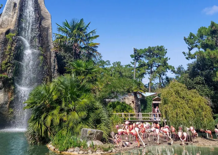 Pet Friendly In * Saint-Savinien