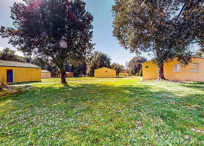 펜션 Pet Friendly In *