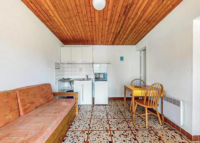 Pet Friendly In Saint-Savinien