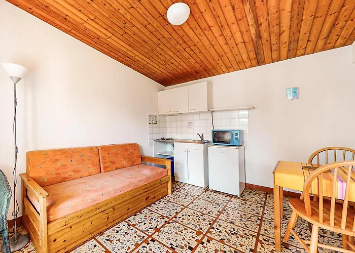 Pet Friendly In 펜션 *